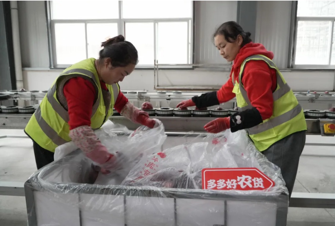 从“黄土地”到“云订单”上海这家知名电商以新生态点亮就业路