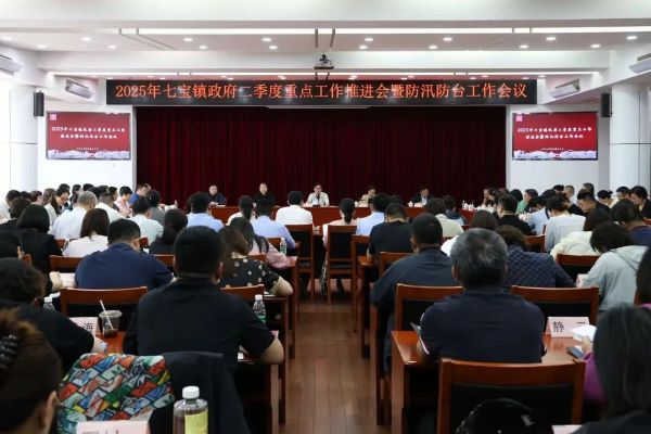 锚定“双过半”目标全力推进工作落实——七宝镇召开2025年政府二季度重点