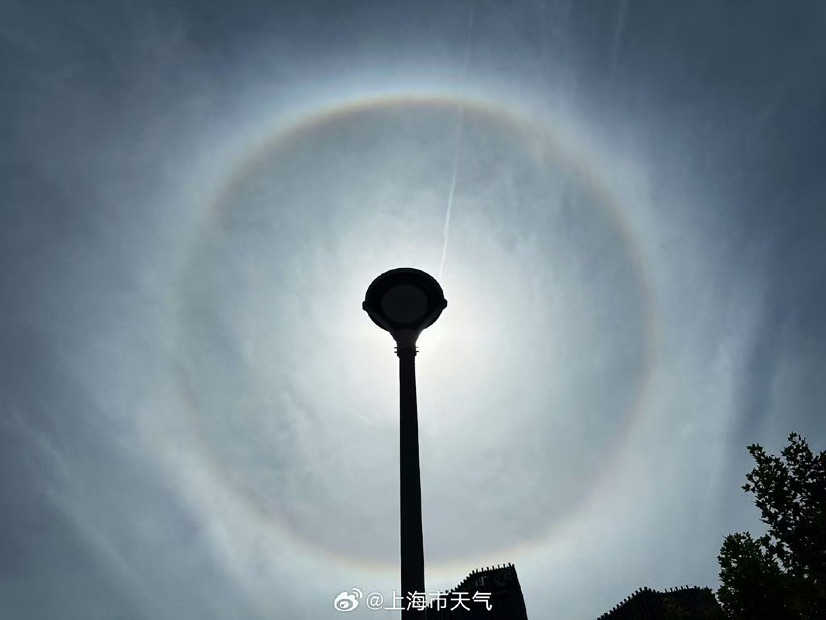你看到“日晕”了吗？上海发布今年第11个高温黄色预警，最高可达37℃