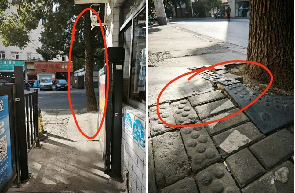 香樟树下行路难，看代表如何履职破难题