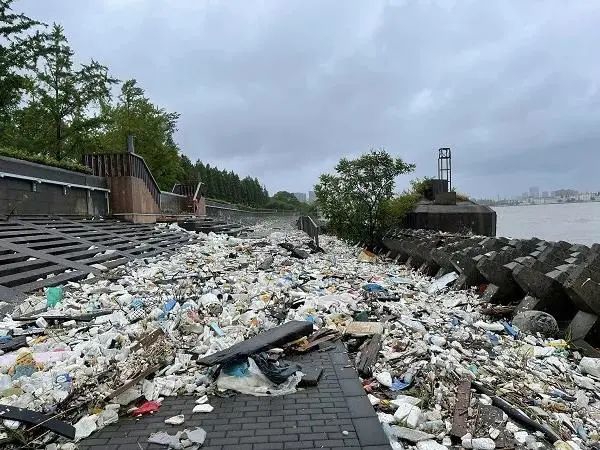 将来捡海滩垃圾可赚积分兑换权益，上海为海洋垃圾收运处置寻找动力