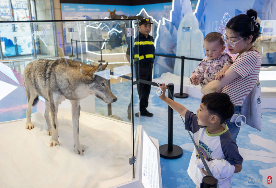 解放日报 孟雨涵 摄20240628_17