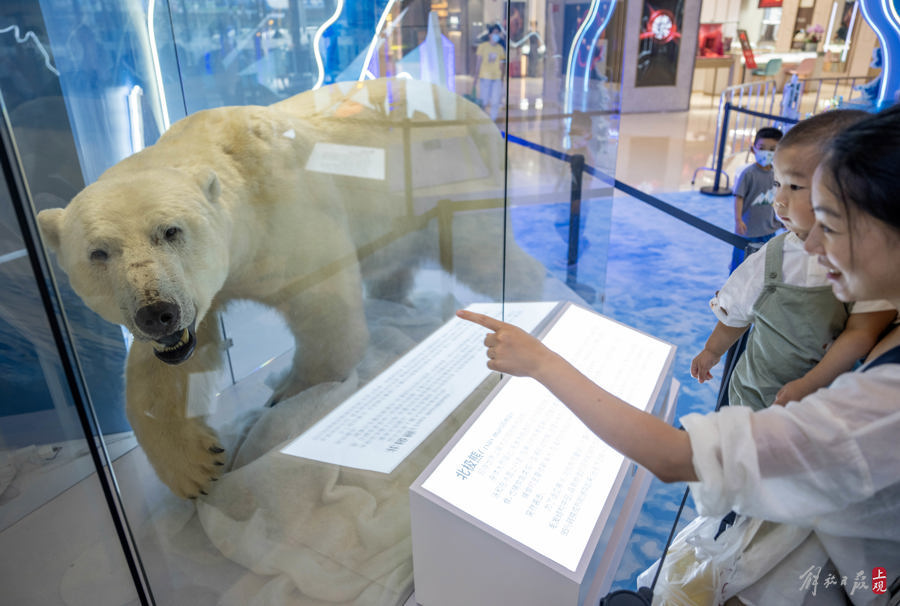 解放日报 孟雨涵 摄20240628_48