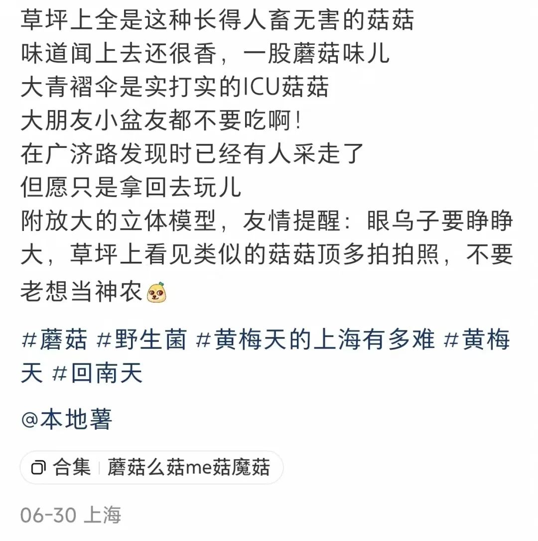 正文图片
