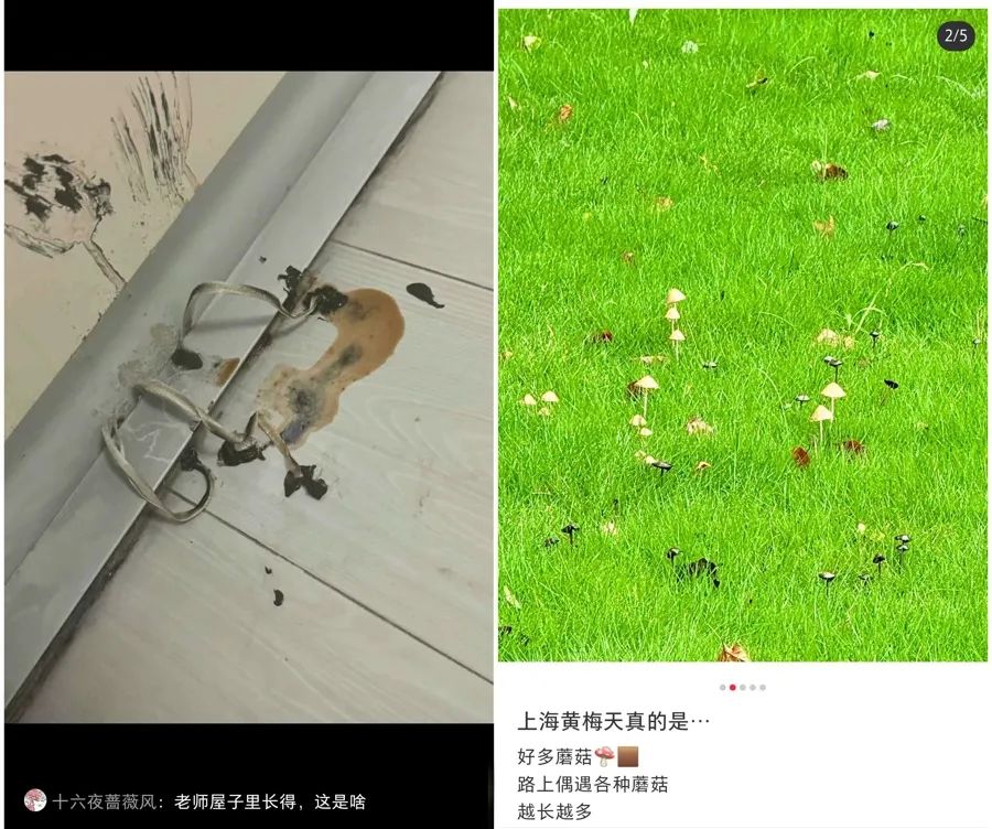 正文图片