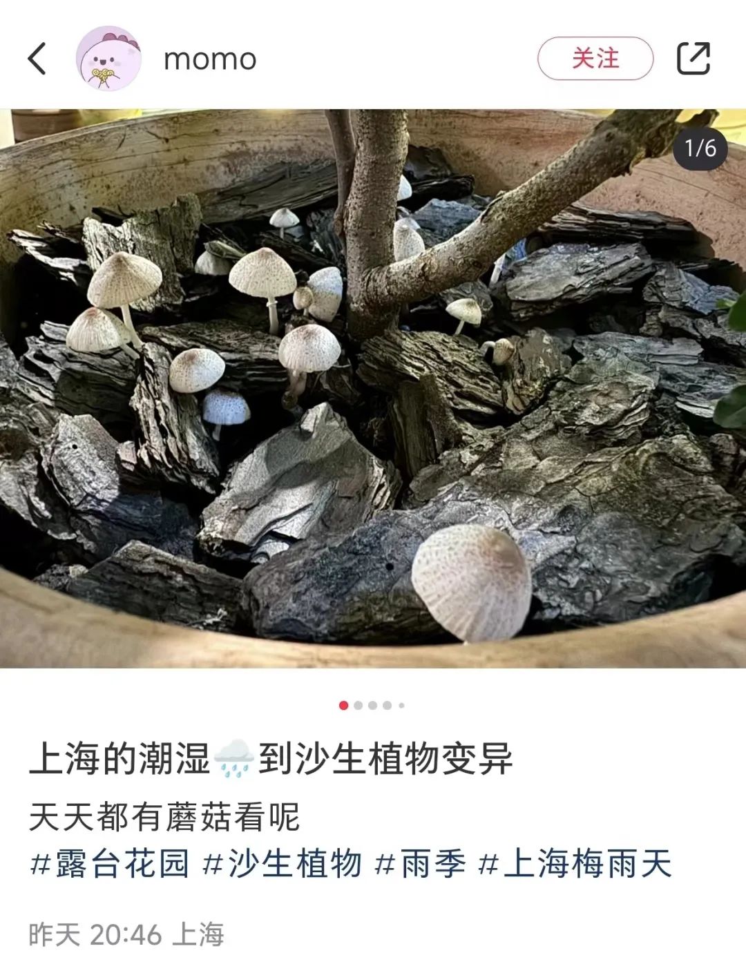 正文图片