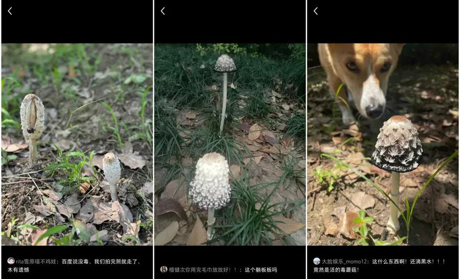 正文图片