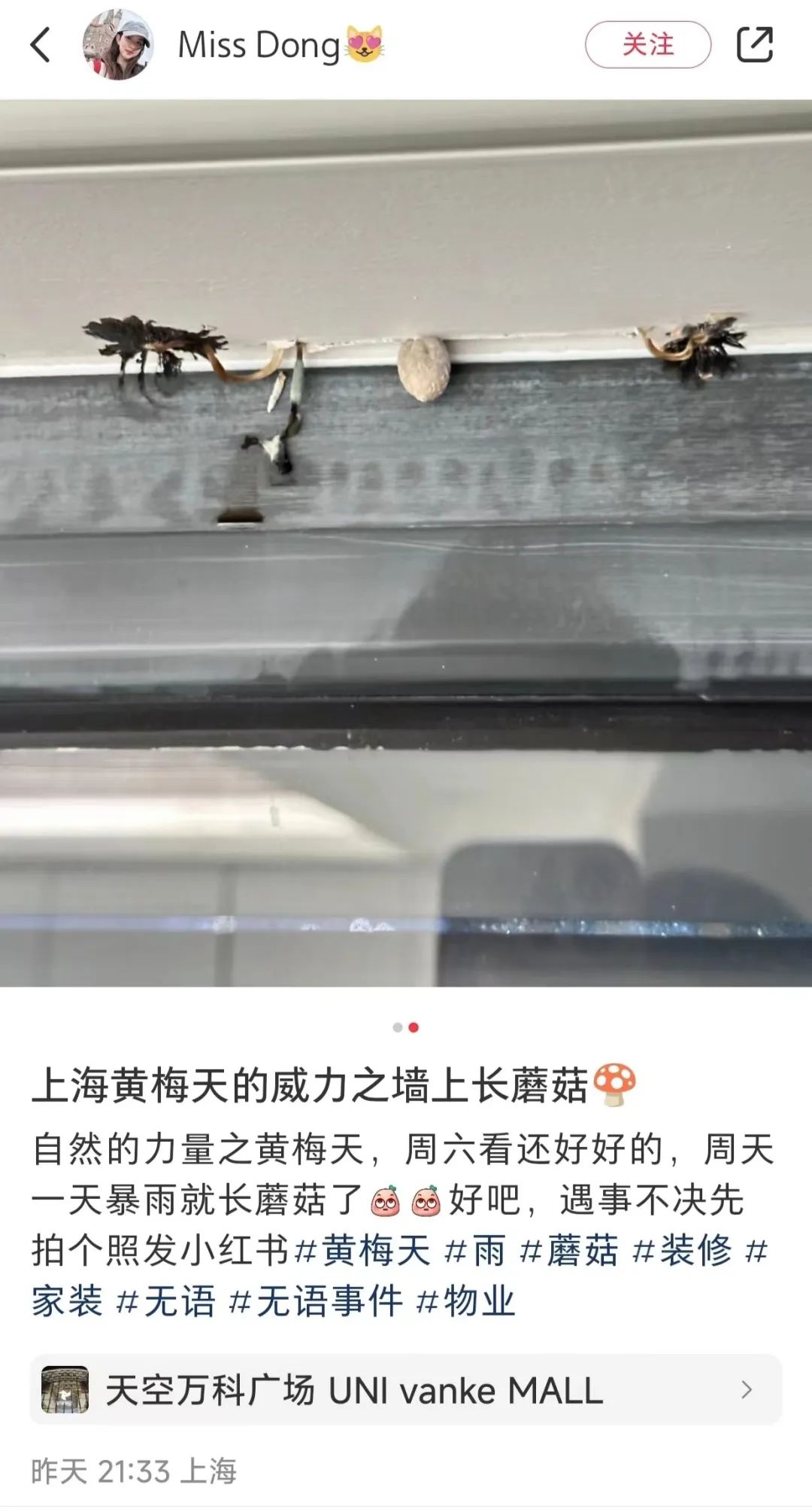 正文图片