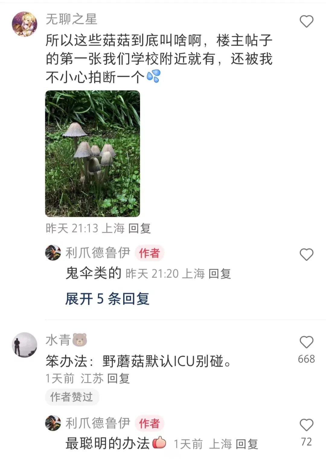正文图片
