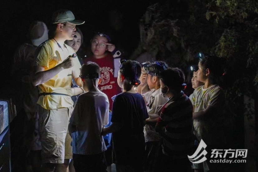 乏味又风凉！沪上公园开启夜游模式，入夜了另有上千人不肯走｜夏令存眷