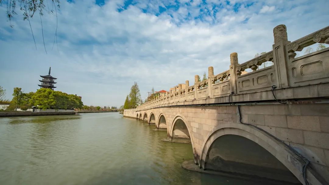 上海一周区情：公园夜游好city使人乐不思“暑” 商旅体裁联动点亮“上海之夏”