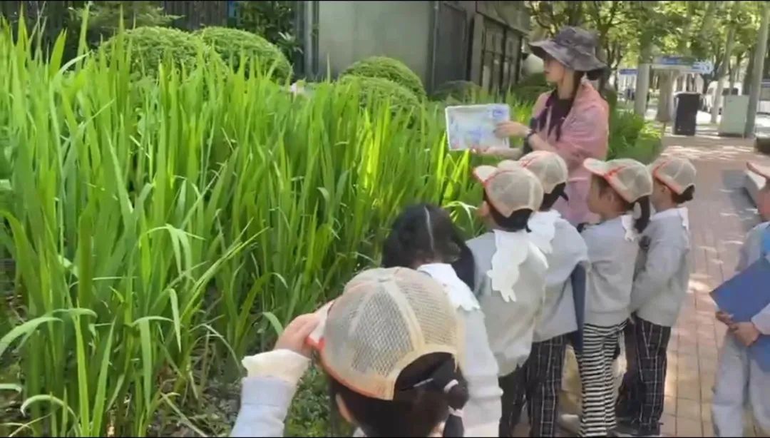 打造都会街区“花圃会客堂”，来天平体验“转角碰见美”