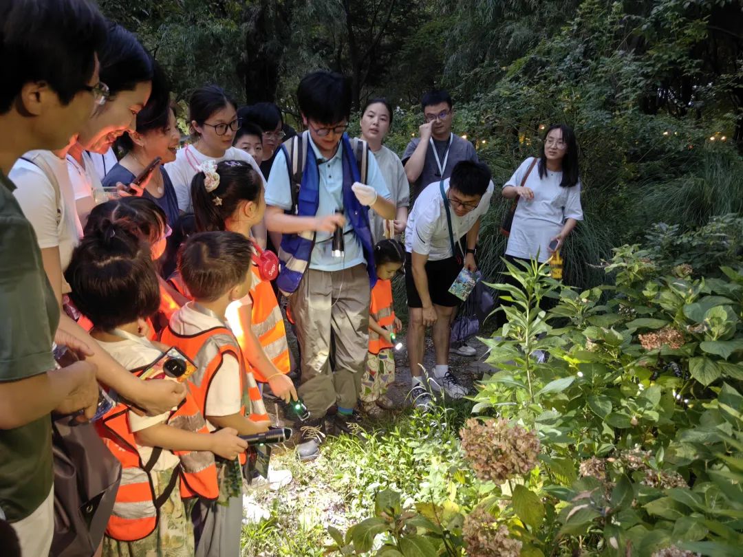 上海一周区情：公园夜游好city使人乐不思“暑” 商旅体裁联动点亮“上海之夏”