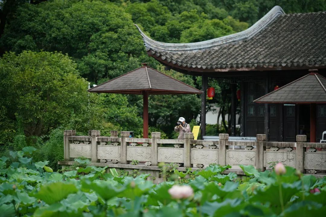 上海一周区情：烈日似火点亮夏季缤纷盛景 申城夜游同享亲子夸姣韶光