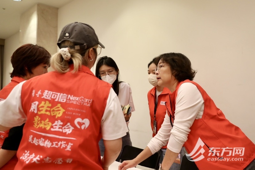 上海博物馆奇“喵”夜首度退场，200只社牛猫艳服缺席