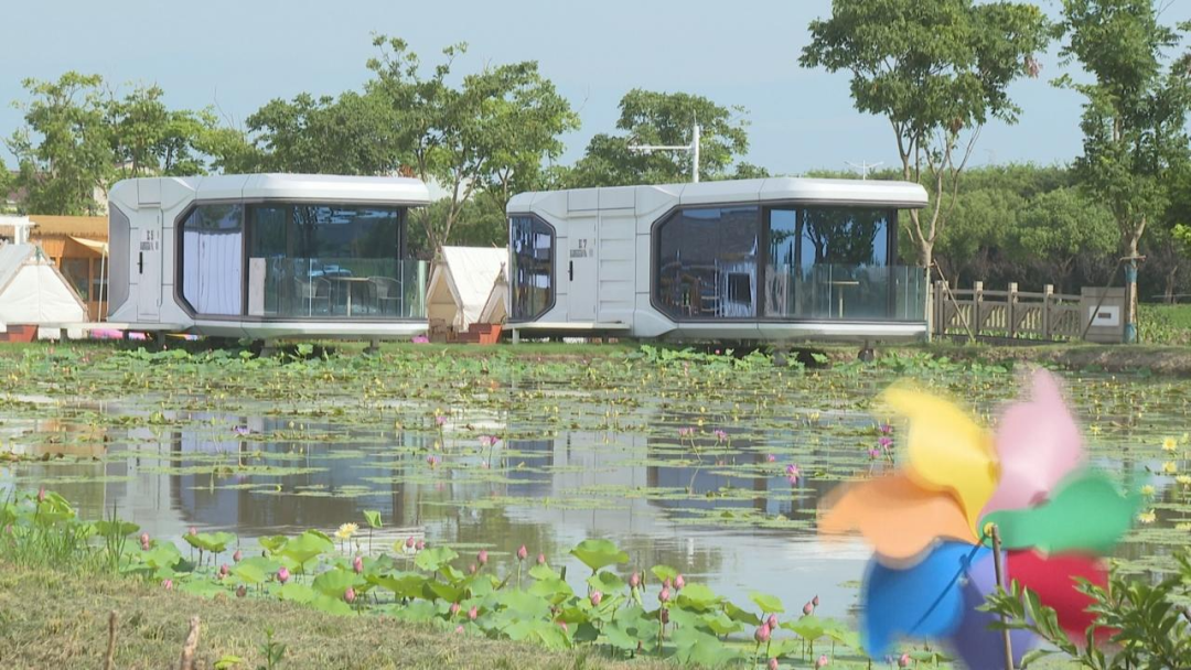 上海一周区情：奥运高潮囊括申城掀起静止风 夏季里的“绿色盛宴”绘出别样美景