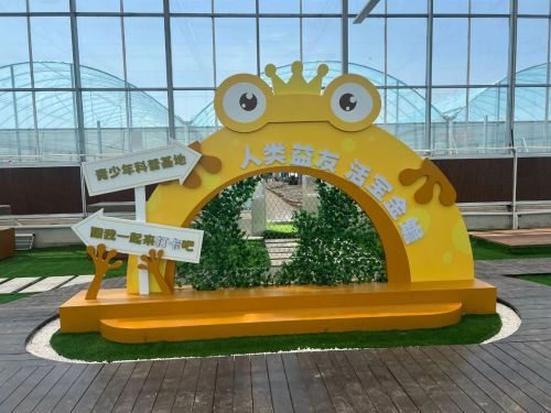 绘就乡村振兴新图景——横沙乡创新思路，发展特色产业7.jpg