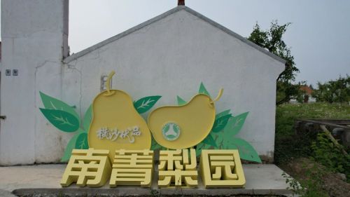 绘就乡村振兴新图景——横沙乡创新思路，发展特色产业11.jpg