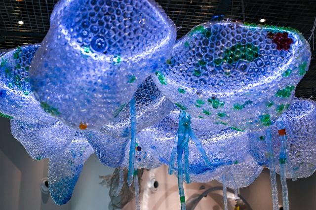 0816_142714_641.jpg SZZ8267.JPG