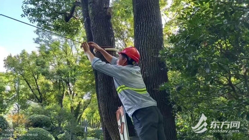 上海进级台风橙色预警，景观照明今明暂停开放 359支环卫应急队时刻待命