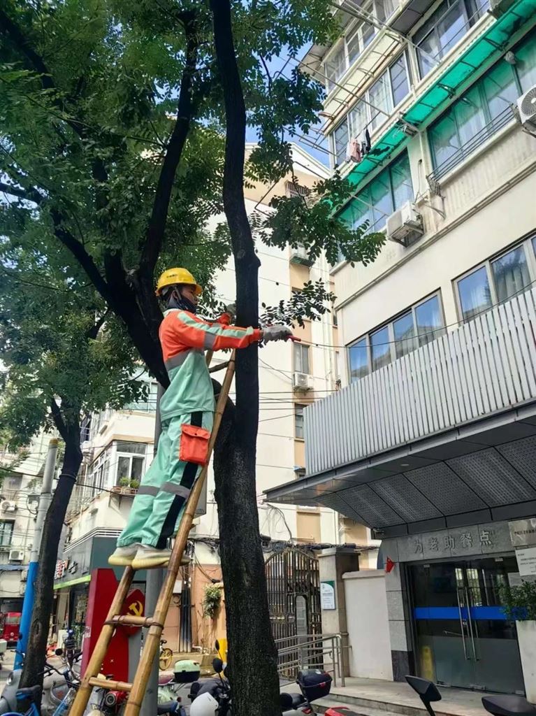 防台物质充沛、应急步队调集，普陀全力保障都会平安运转