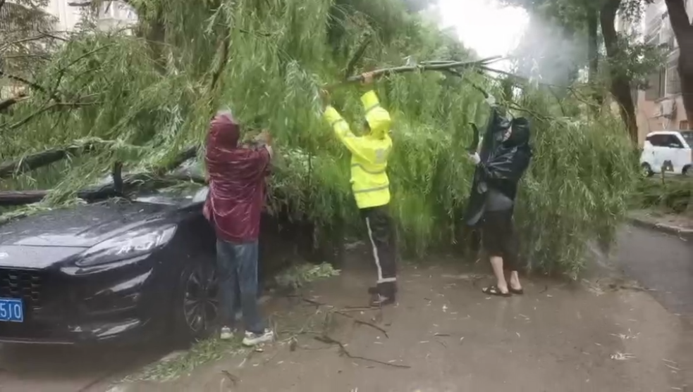 延续迎战“贝碧嘉”！年夜树倒伏路途清障、护送非灵活车地道越江，上海警方全力守护市平易近平安