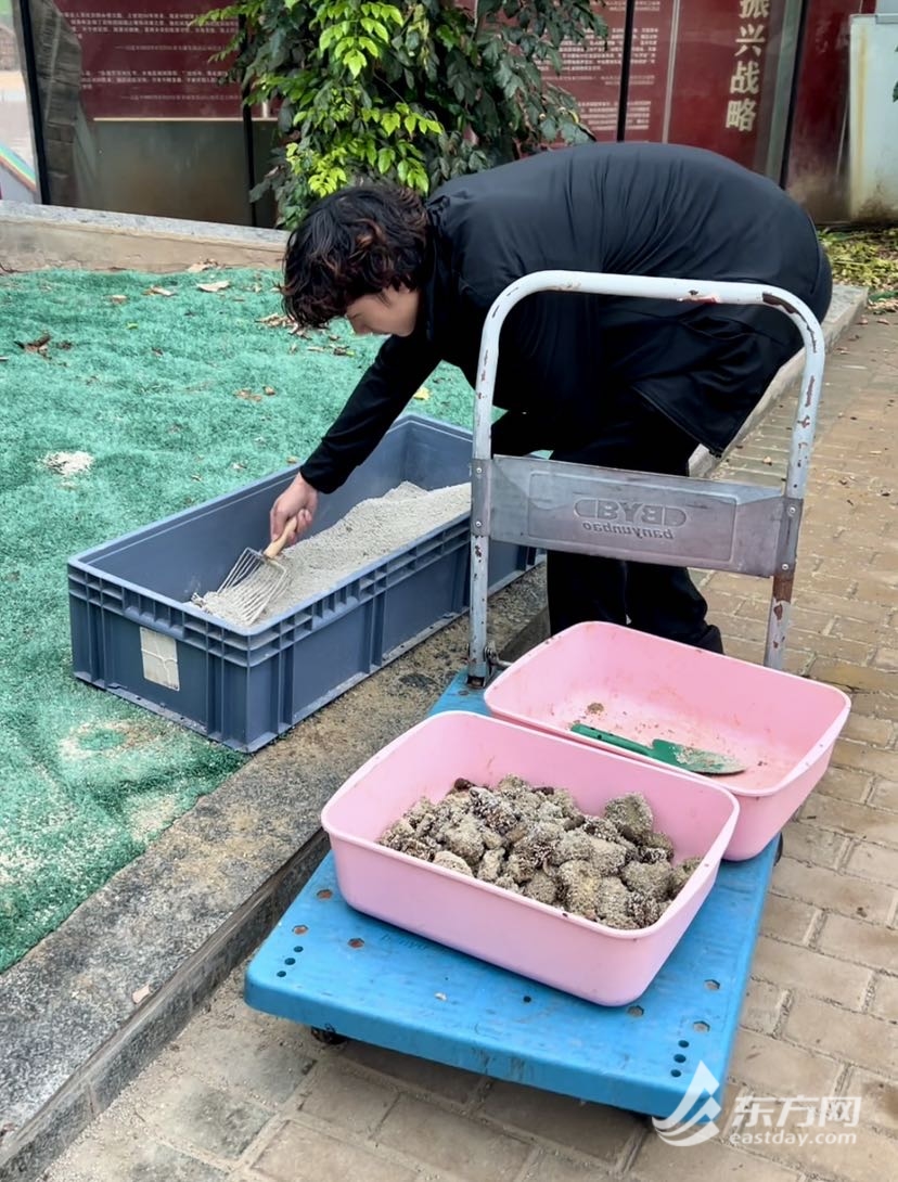 每一个生命都被和顺以待！台风来了，浦东“猫岛”的上百只流离猫已经被安顿