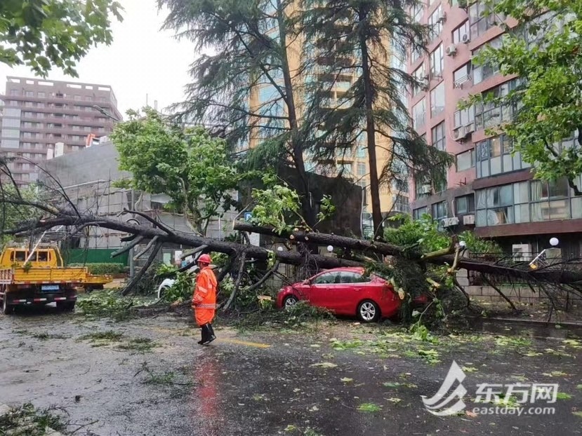 车辆因台风被树或者坠落物砸坏，物业必要担责吗？脱险厥后年保费增长怎样办？