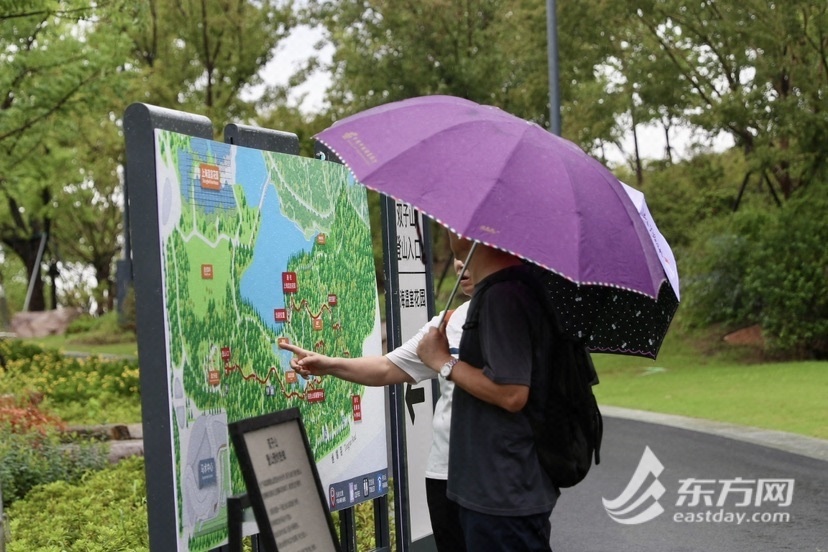 世博文明公园南区雨中开园，第一批旅客已经“登顶”双子山，国庆档期另有更多好玩勾当