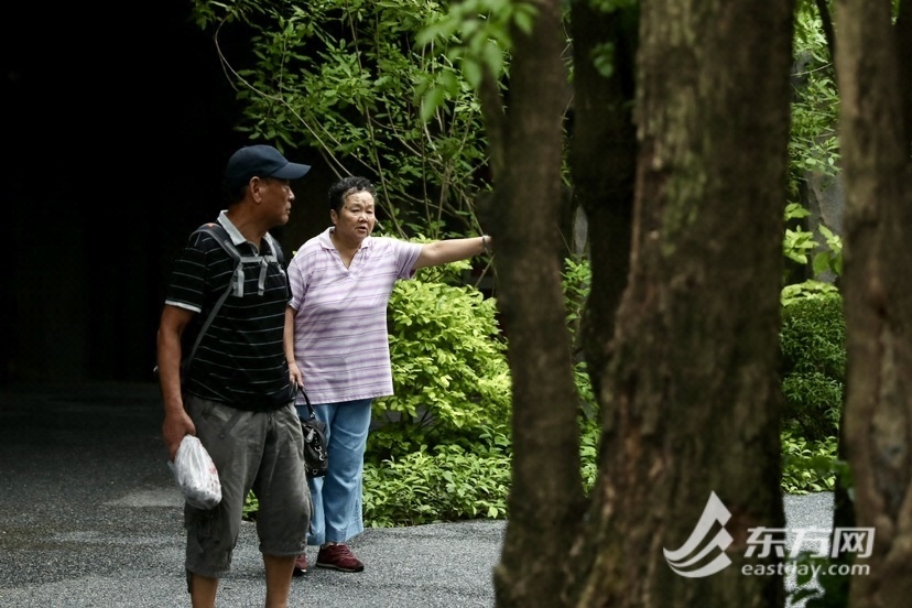 世博文明公园南区雨中开园，第一批旅客已经“登顶”双子山，国庆档期另有更多好玩勾当