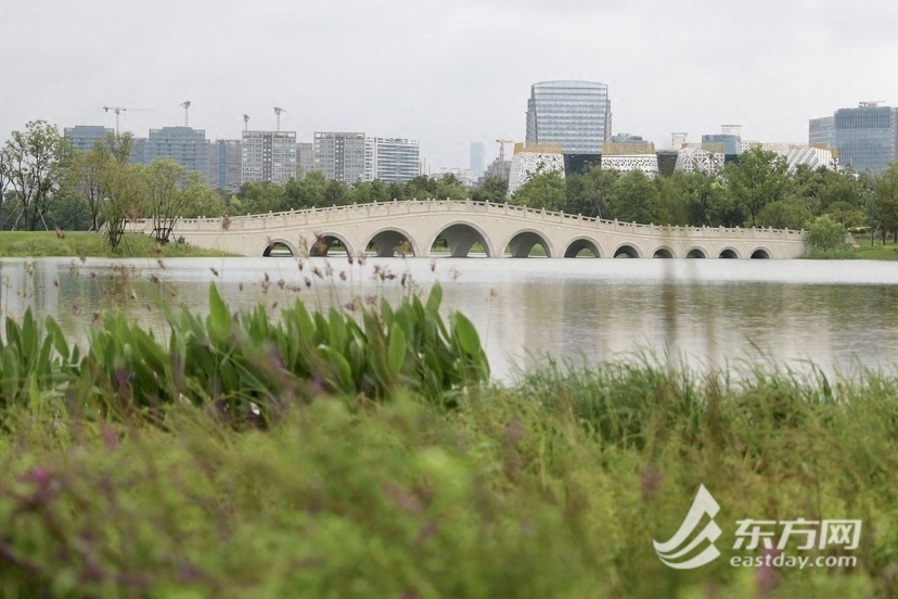 世博文明公园南区雨中开园，第一批旅客已经“登顶”双子山，国庆档期另有更多好玩勾当