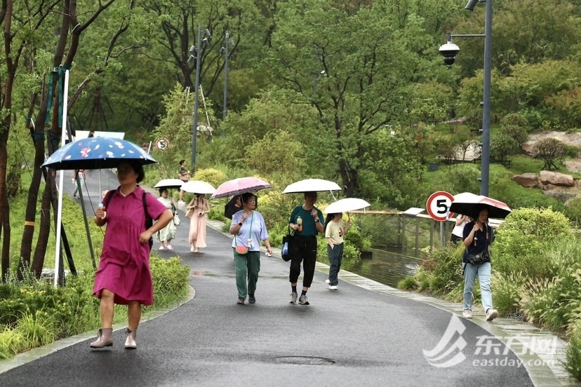 世博文明公园南区雨中开园，第一批旅客已经“登顶”双子山，国庆档期另有更多好玩勾当