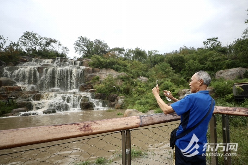 世博文明公园南区雨中开园，第一批旅客已经“登顶”双子山，国庆档期另有更多好玩勾当