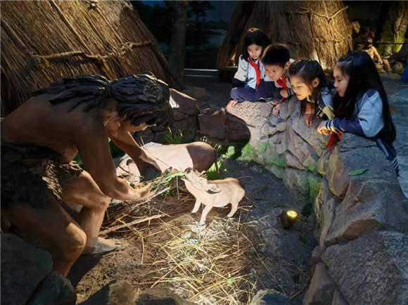 WDCM上传图片 WDCM上传图片