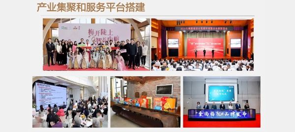 1015_091516058_882.jpg 20241015_091450_003.jpg