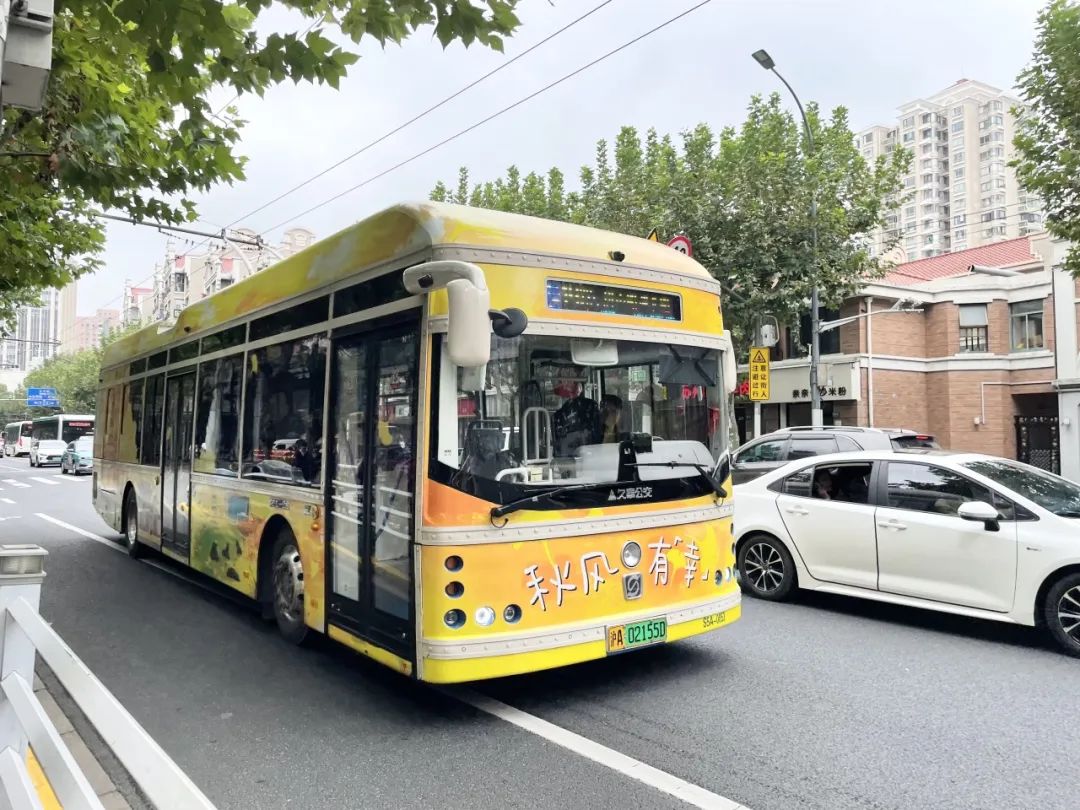 上海一周区情：踏秋游园纵享沪上CityWalk 赏花观铺探索糊口新方案