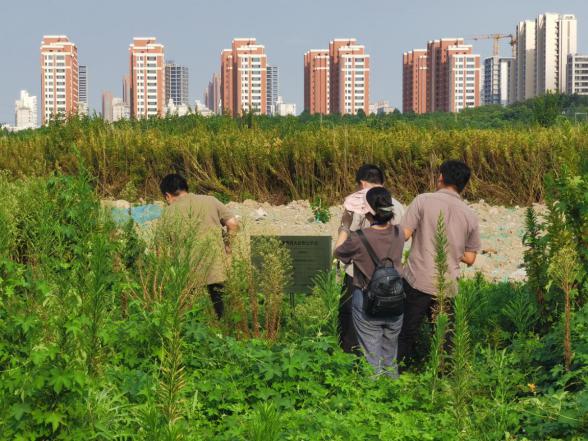 普陀区率先实现第四次天下文物普查实地查询拜访阶段外业查询拜访事情