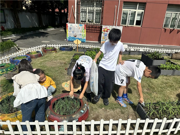 WDCM上传图片 WDCM上传图片