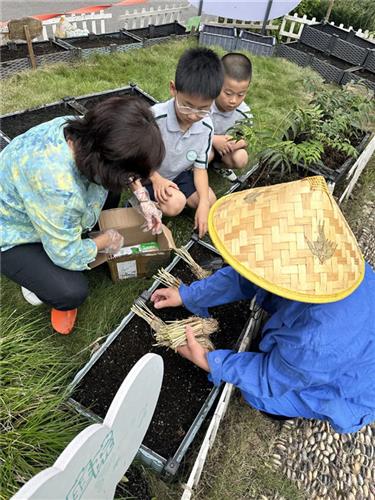 WDCM上传图片 WDCM上传图片