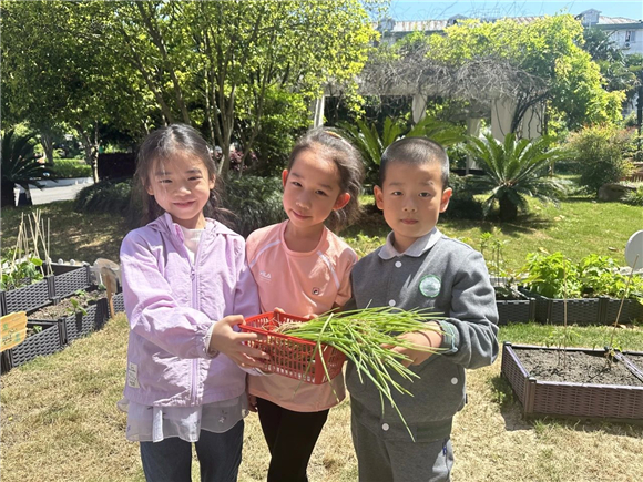 WDCM上传图片 WDCM上传图片