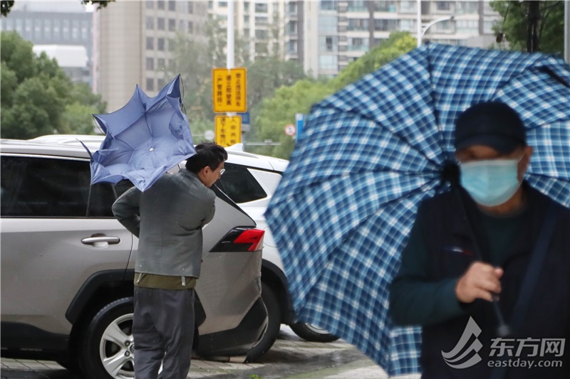 早岑岭你的伞阵亡了吗？今天累积雨量可达暴雨到年夜暴雨，夜里雨势削弱 | 组图