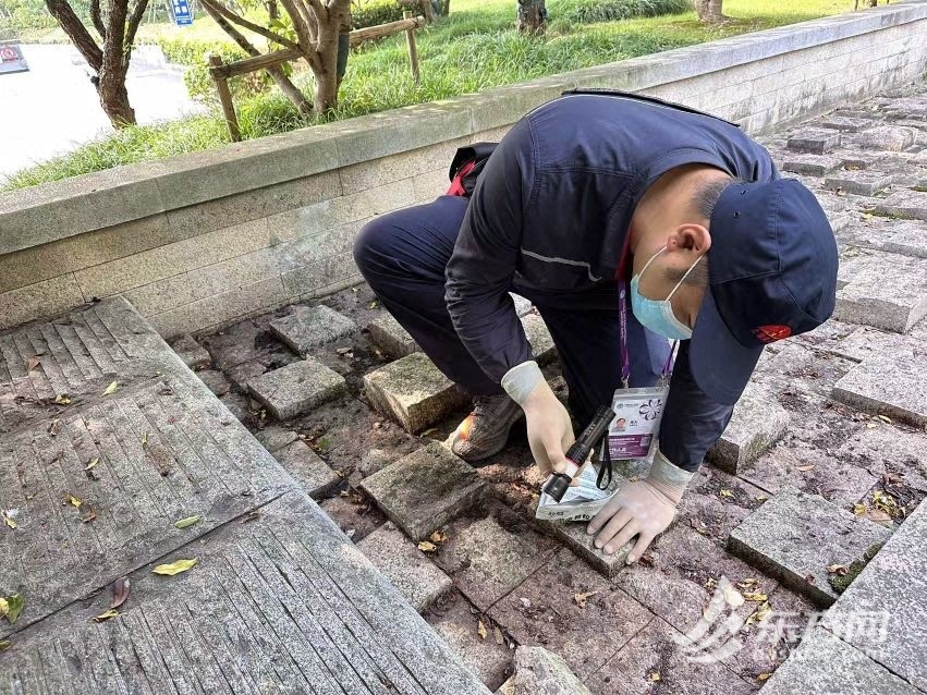 他们在守护！“四叶草”病媒生物密度节制程度提早到达国度最高尺度