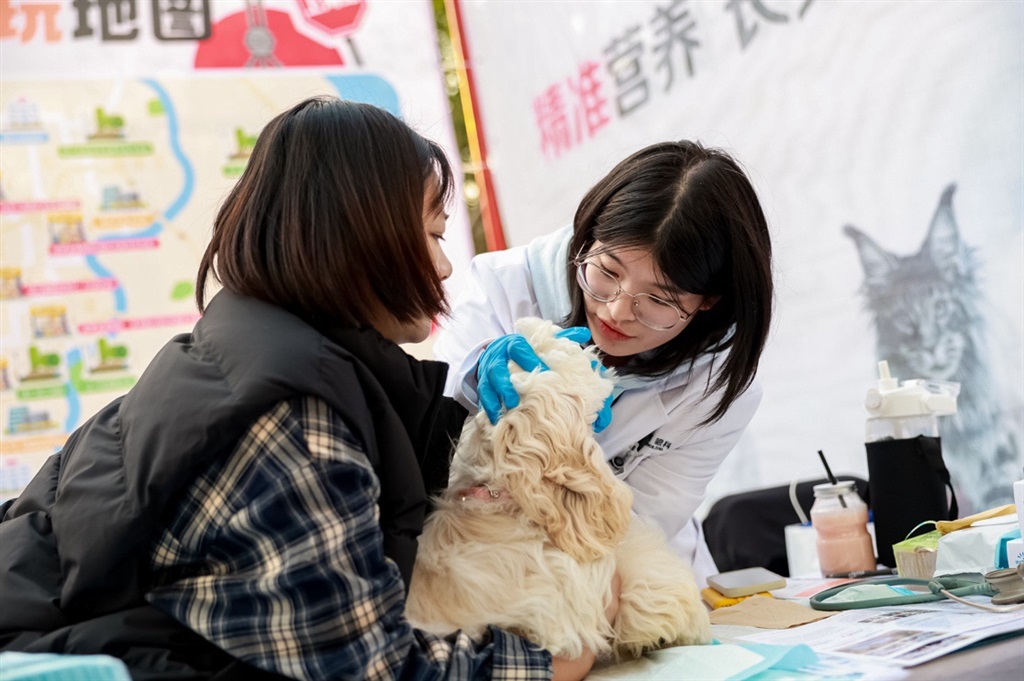 担忧它孤傲还拆家？超三成宠物主认为携宠出行坚苦成痛点，“宠物经济”催生消费新场景