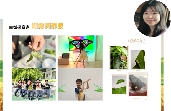 WDCM上传图片 WDCM上传图片