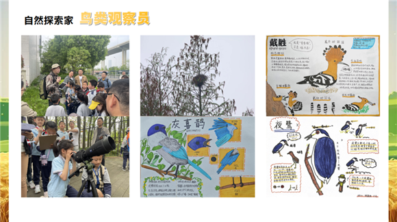 WDCM上传图片 WDCM上传图片