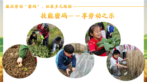 WDCM上传图片 WDCM上传图片