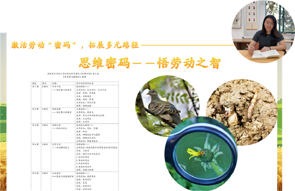 WDCM上传图片 WDCM上传图片