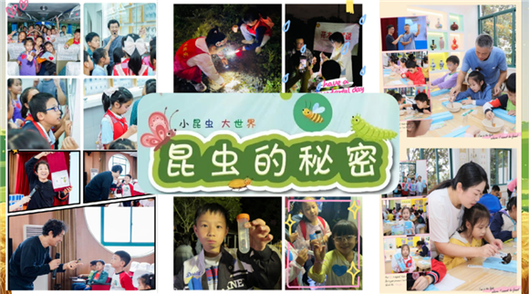 WDCM上传图片 WDCM上传图片