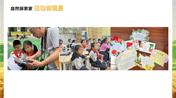 WDCM上传图片 WDCM上传图片