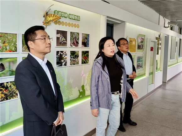 WDCM上传图片 WDCM上传图片